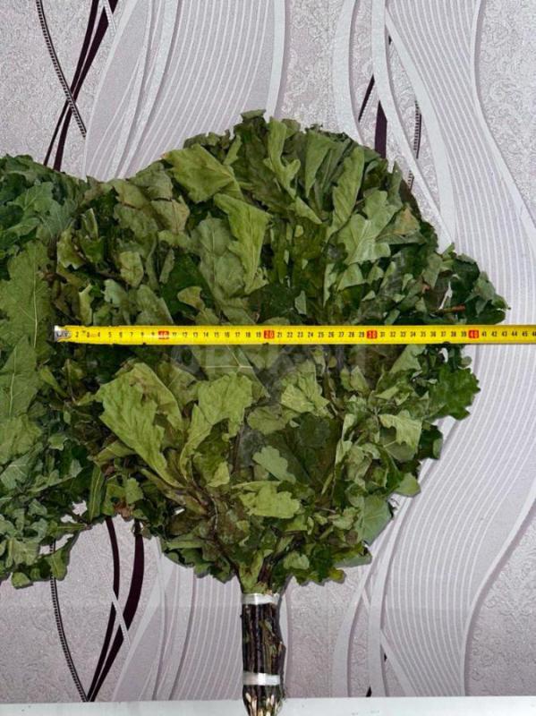 Продам берёзовые и дубовые банные веники, сбор 2025 года, веники собраны в экологической лесной зоне - Орск