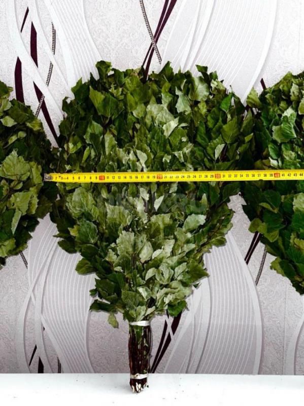 Продам берёзовые и дубовые банные веники, сбор 2025 года, веники собраны в экологической лесной зоне - Орск