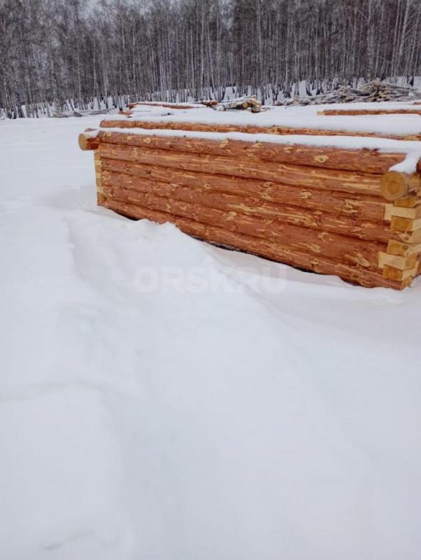 Срубы из сосны любых размеров под заказ. - Орск