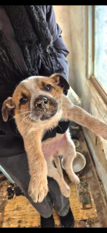 Орск, Новотроицк, Гай и другие населённые пункты, Земляки ! - Орск