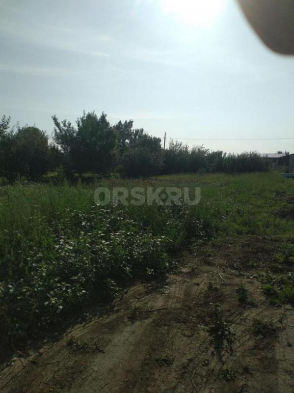 Продам сад 6,5 соток СНТ ОНОС (КЕДР). - Орск