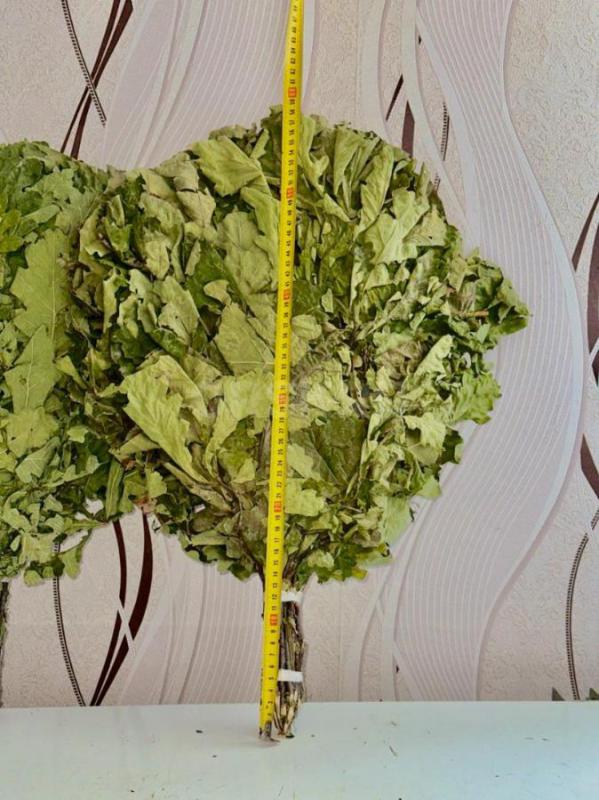 Продам берёзовые и дубовые банные веники, сбор 2025 года, веники собраны в экологической лесной зоне - Орск