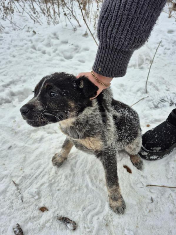 Орск, Новотроицк, Гай, Земляки ! - Орск