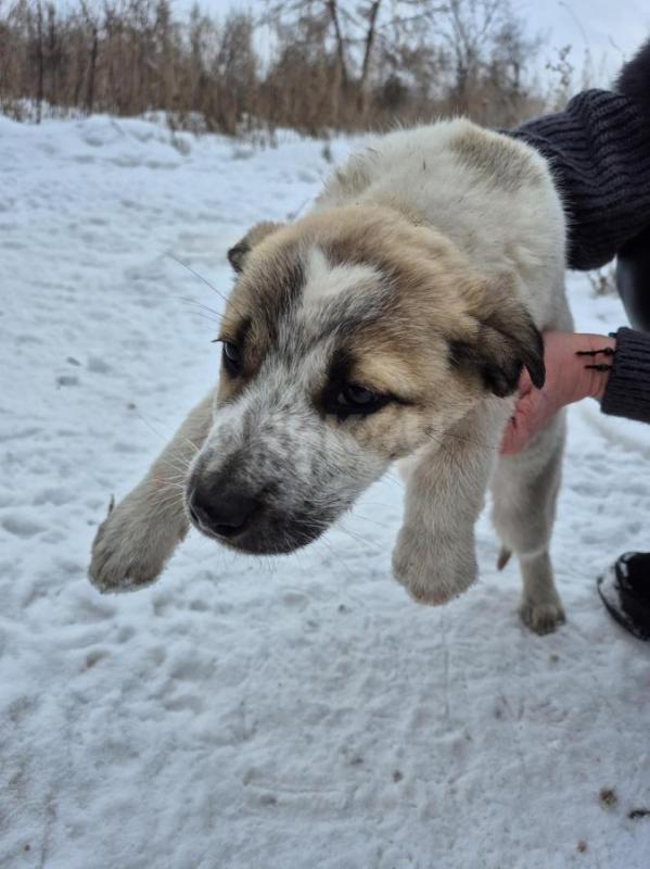 Орск, Новотроицк, Гай, Земляки ! - Орск
