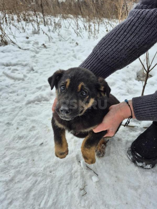 Орск, Новотроицк, Гай, Земляки ! - Орск