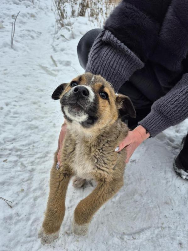 Орск, Новотроицк, Гай, Земляки ! - Орск