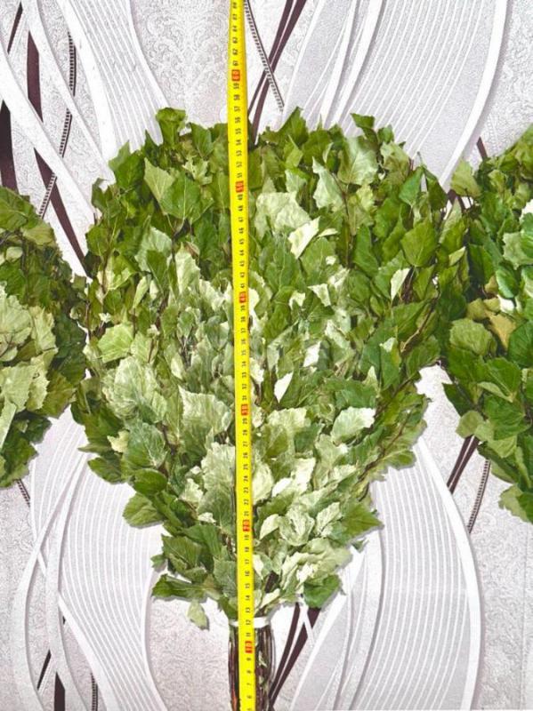 Продам берёзовые и дубовые банные веники, сбор 2025 года, веники собраны в экологической лесной зоне - Орск