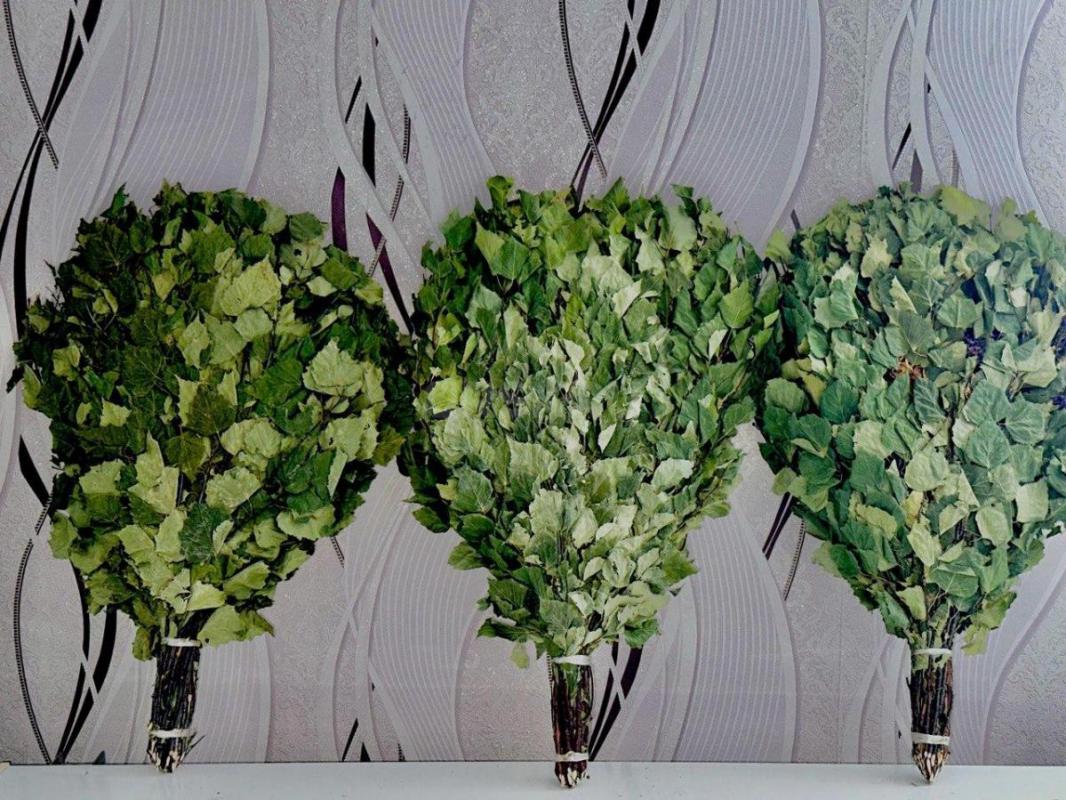 Продам берёзовые и дубовые банные веники, сбор 2025 года, веники собраны в экологической лесной зоне - Орск