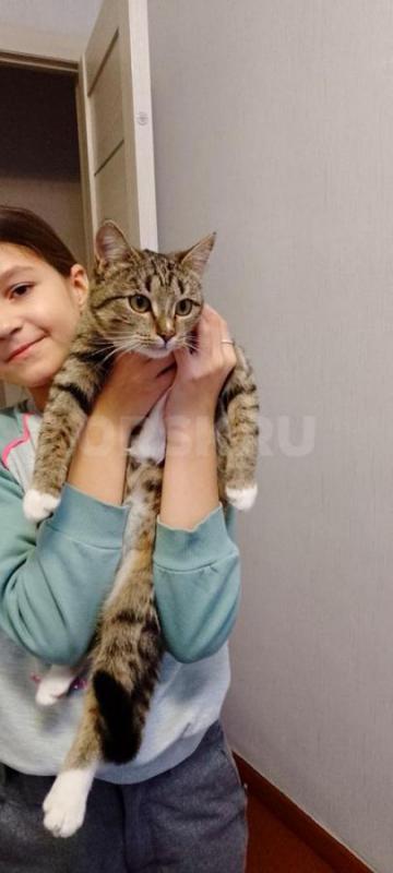 Девочка 9 месяцев. - Орск