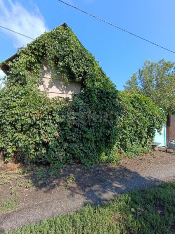 Сад- огород со всеми насаждениями, с любовью ухоженный, основательный и доброжелательными соседями. - Орск