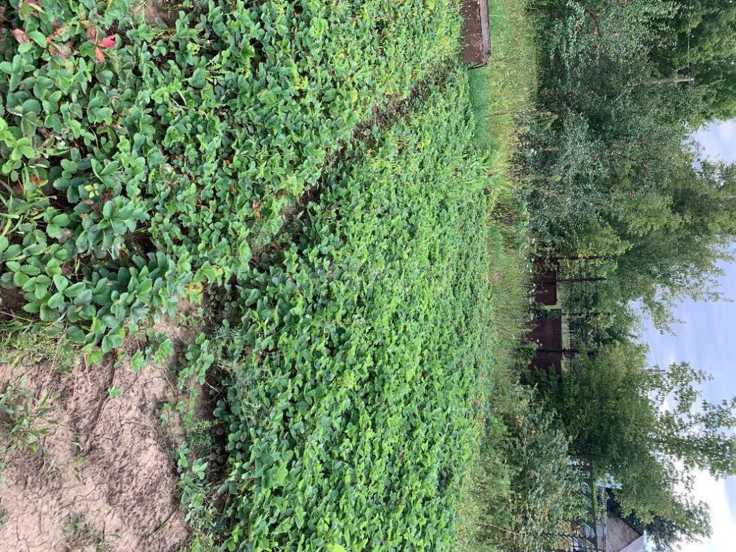 Продам сад 6 соток. - Орск