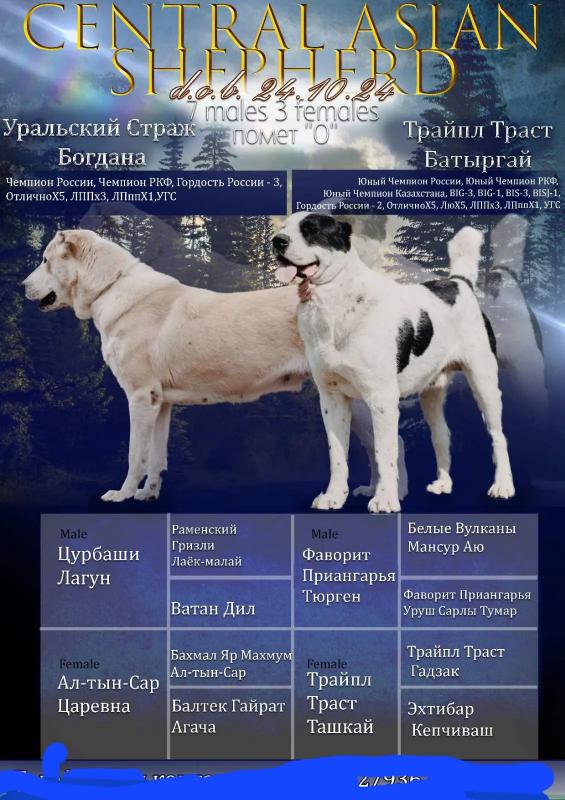 Подрощенная девочка САО. - Новотроицк