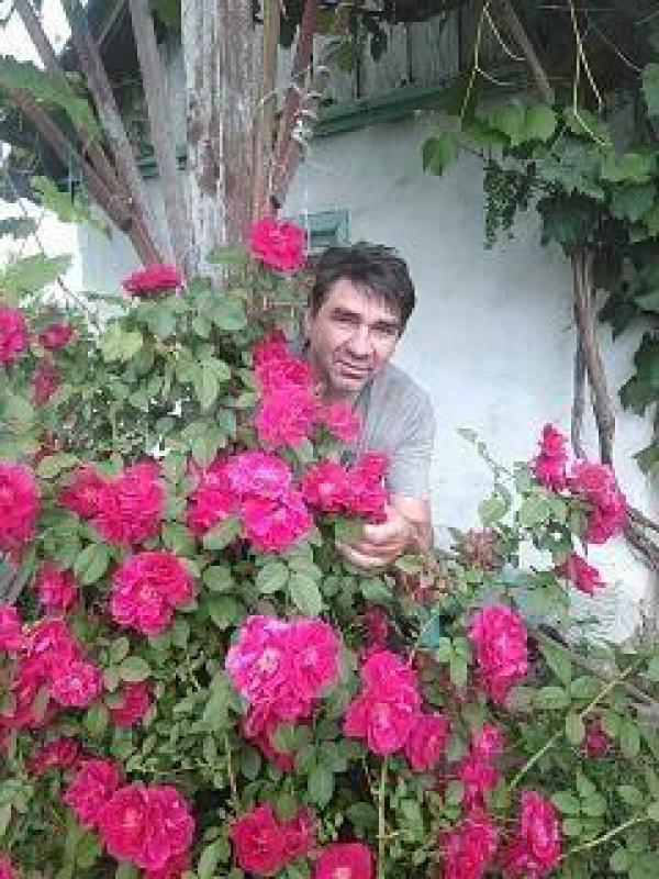 Диджей и Ведущий 2 в 1. - Орск