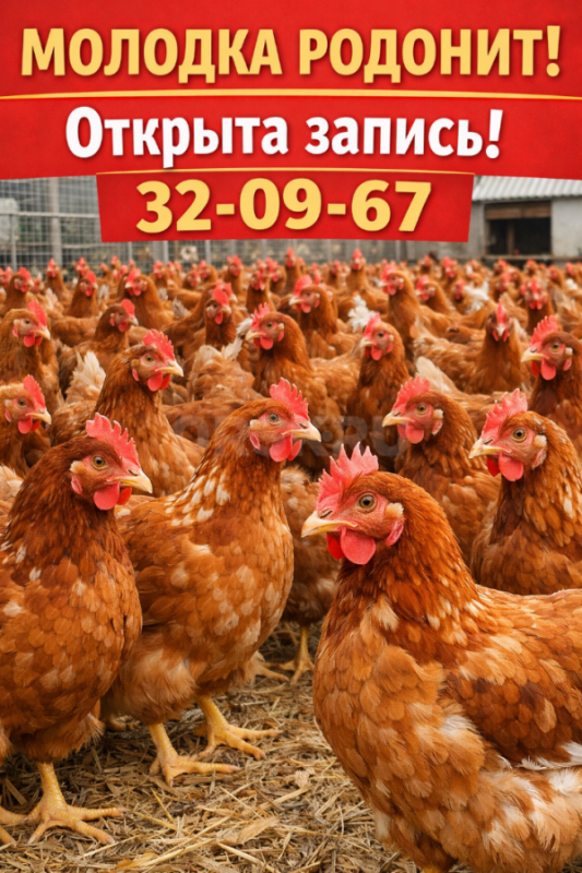 С 10 апреля — СТАРТ ПРОДАЖ в компании «ФЕНИКС»! - Орск