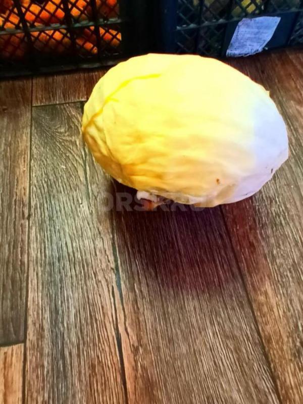 продам излишки с огорода свекла морковь  есть все по 1 мешку капуста есть еще - Орск