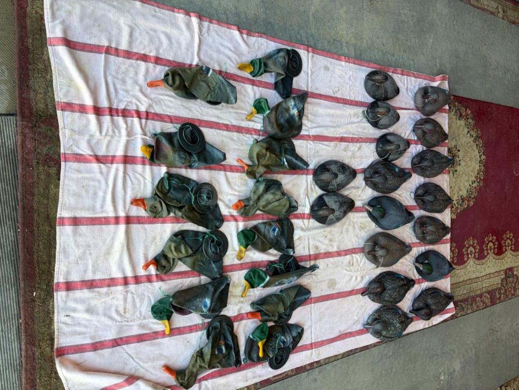 Продам чучела плавающих уток с грузами
- Резиновые, сминающиеся (17 шт.)
- DEEKS Резиновые &qu - Орск