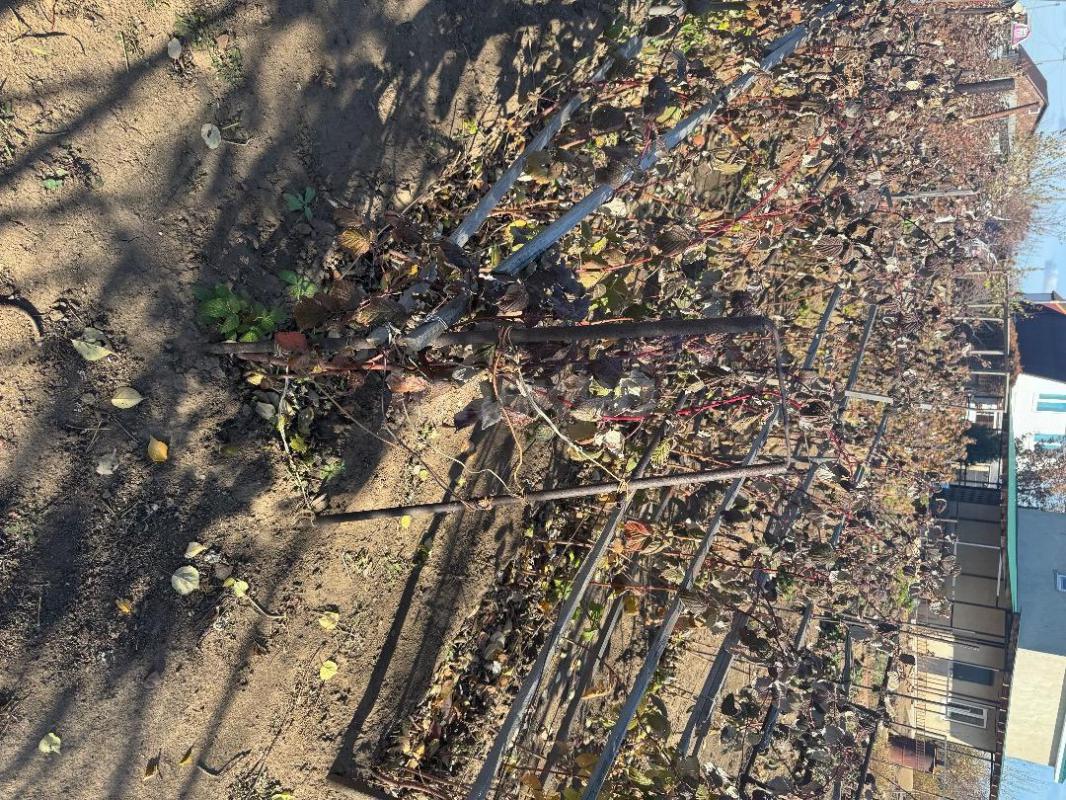 Продам сад в СТ Ударник. - Орск