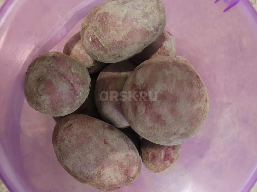 продам домашний картофель возможна доставка - Орск
