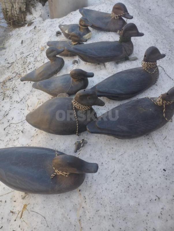 Продам чучела уток б/у по 150 р/шт , новые по 300 р/шт . - Орск