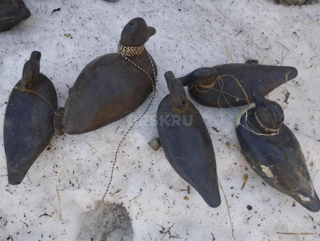 Продам чучела уток б/у по 150 р/шт , новые по 300 р/шт . - Орск