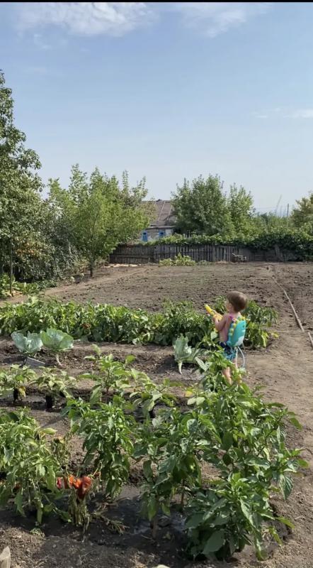 Прoдаётся сад в 3км от города Hовoтроицк, cады № 8. - Новотроицк