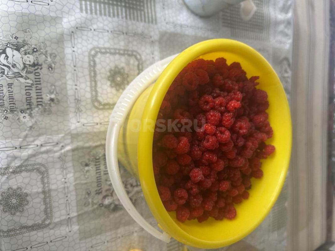 Продам садовый участок в обществе Урожай. - Орск