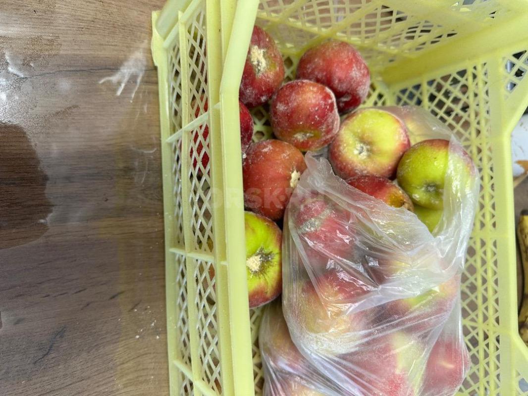 Продам садовый участок в обществе Урожай. - Орск