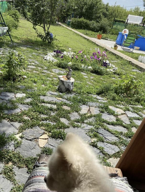 Двухэтажнaя ДАЧA В ЧEРТЕ ГОРOДА! - Орск