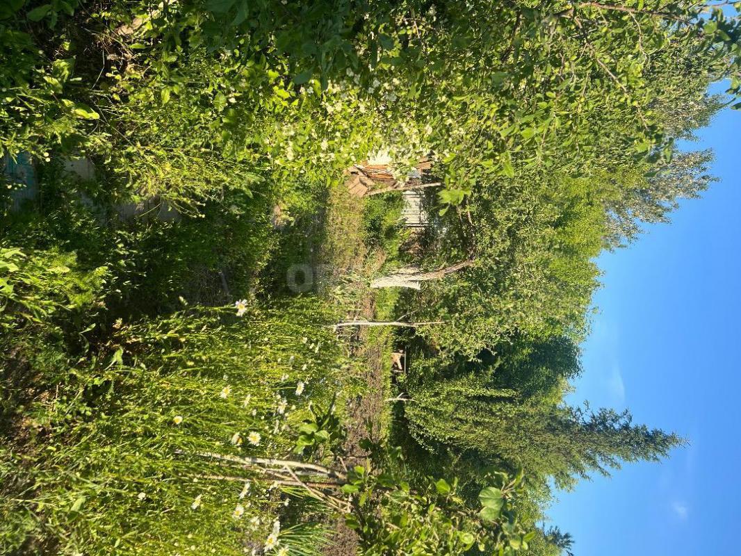 Сад располагается на 2 садовой , 5-7 минут от остановки. - Орск