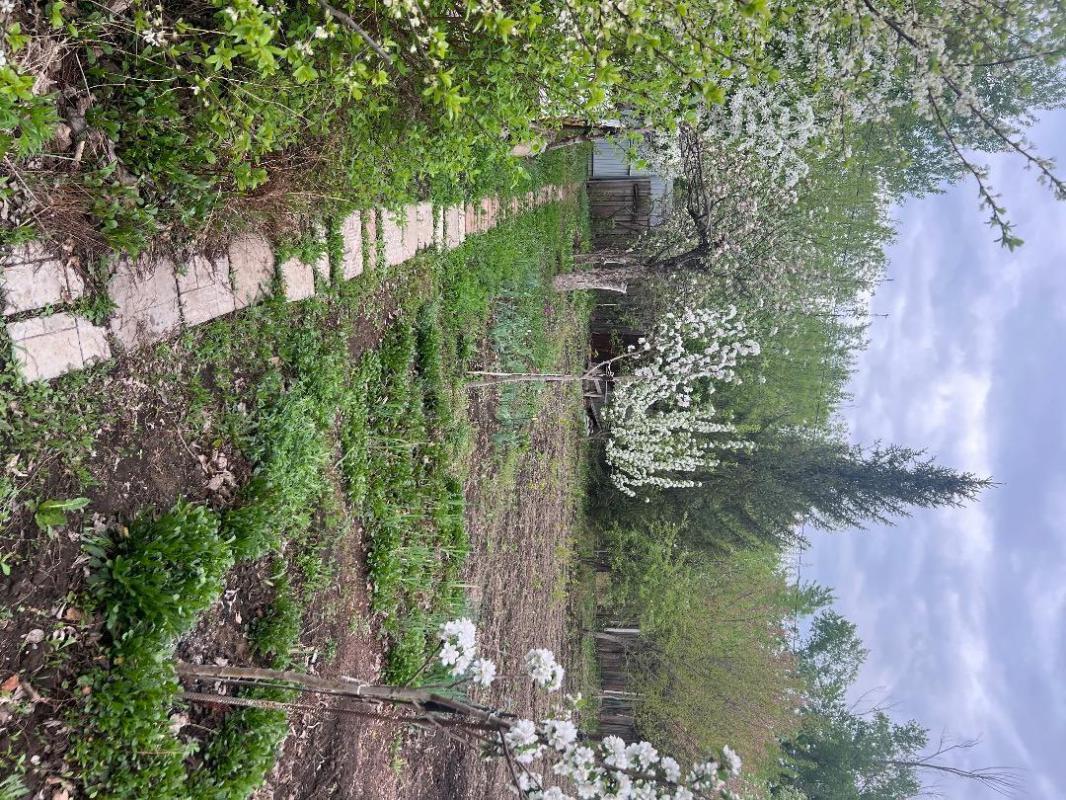 Сад располагается на 2 садовой , 5-7 минут от остановки. - Орск