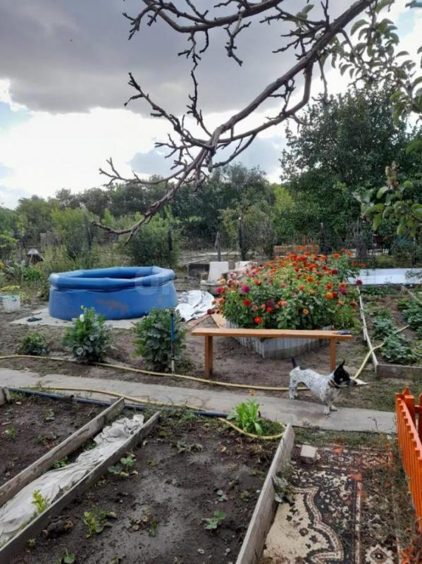 Продам замечательный, ухоженный сад сразу за переездом, район Зеленхоз. - Орск