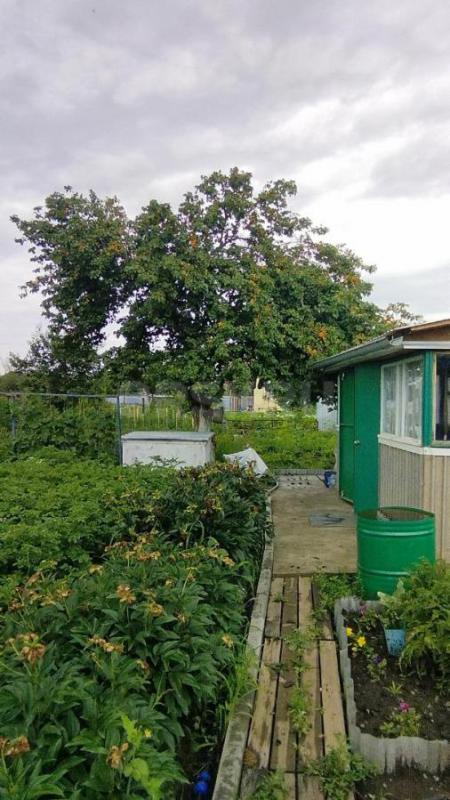 сад на 2 садовой снт 18 земля и дом в собственности. 5соток - Орск