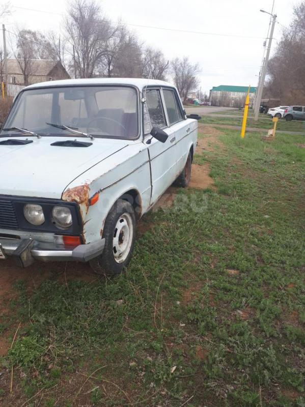 Продам или обменяю на баранов или на хорошего теленка . - Домбаровский