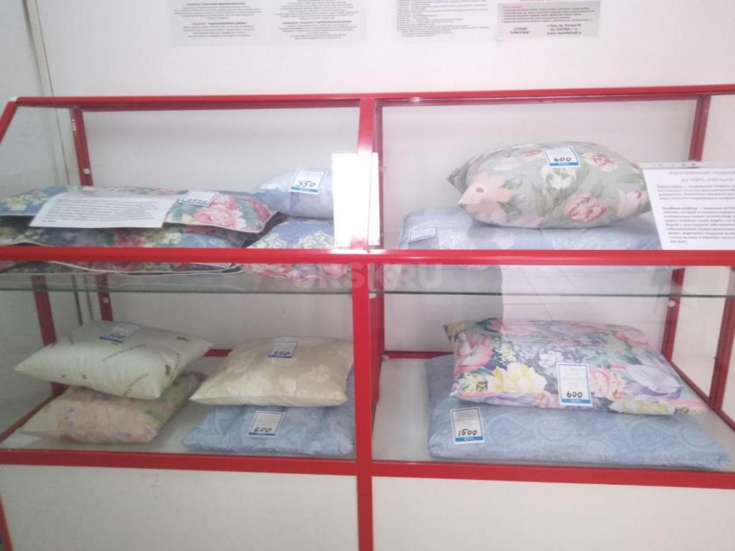 Продам и изготовлю на заказ новые подушки, одеяла из гусиного пуха - пера. - Орск