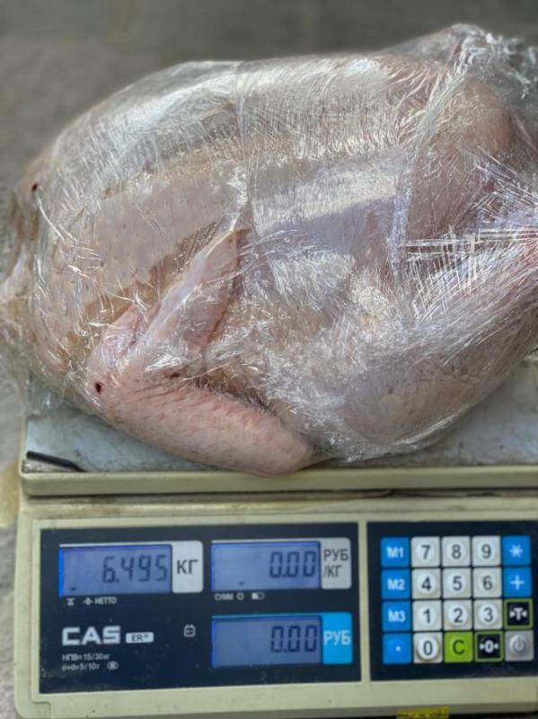 Началась  реализация суточных и подрощенных цыплят бройлера  Кобб -500, Арбор-Айкрес, Росс-308. - Орск