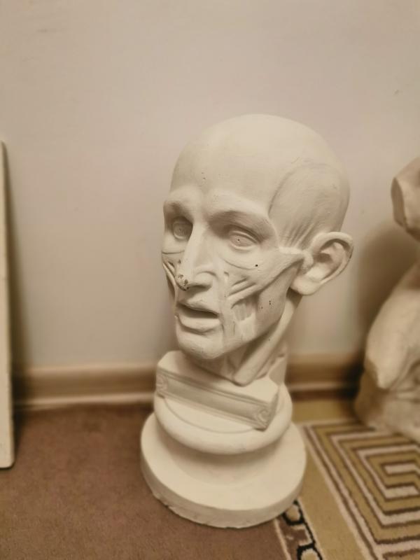 Гипсовые фигуры для рисования - Новотроицк