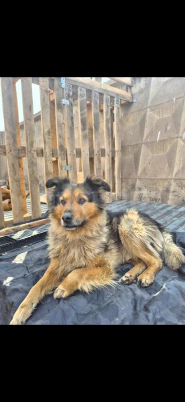 Орск ! - Орск