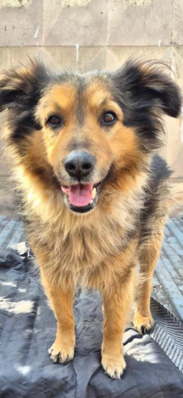 Орск ! - Орск