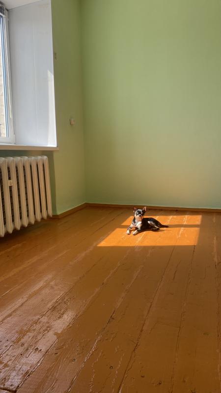 Продается теплая, светлая, солнечная квартира в самом центре города. - Гай