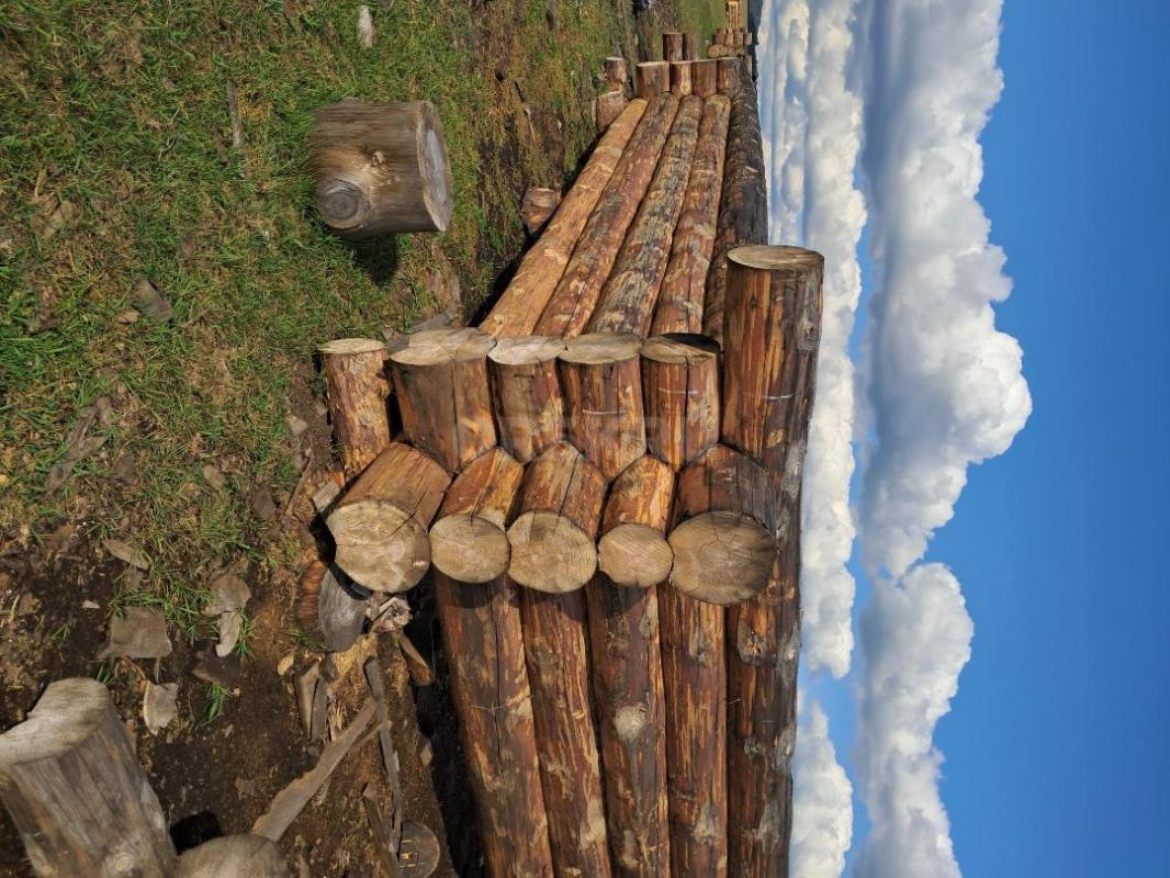 Срубы из сосны любых размеров в наличии и на заказ. - Орск