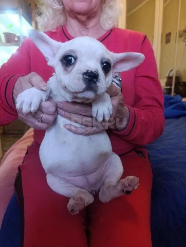 Мальчик и девочка. - Орск