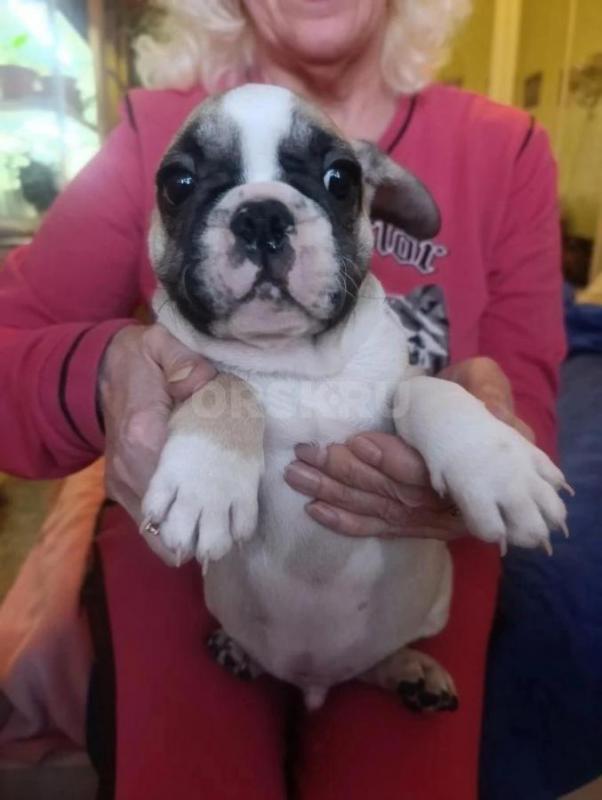 Мальчик и девочка. - Орск