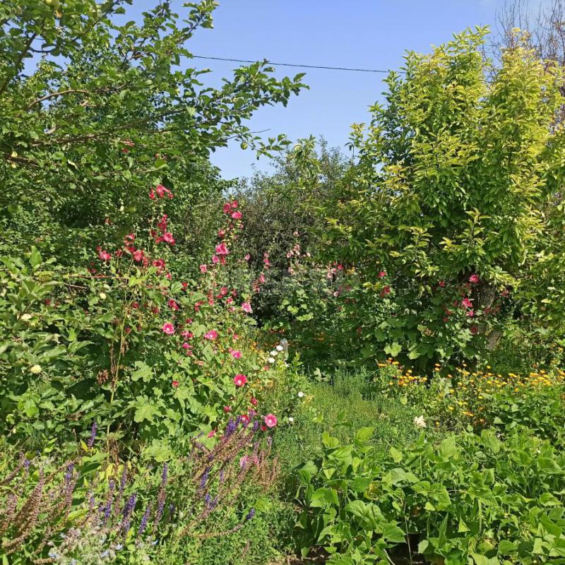 Продам сад 6 соток СНТ НИКА22,  N55, Зеленхоз, автобус 19. - Орск