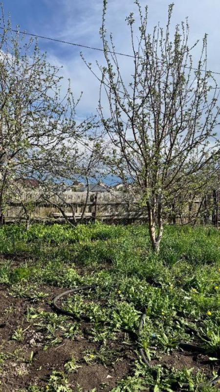 В собственности, приватизирован, соседи строятся, газ, вода, все насаждения, домик, клубника, абрико - Орск