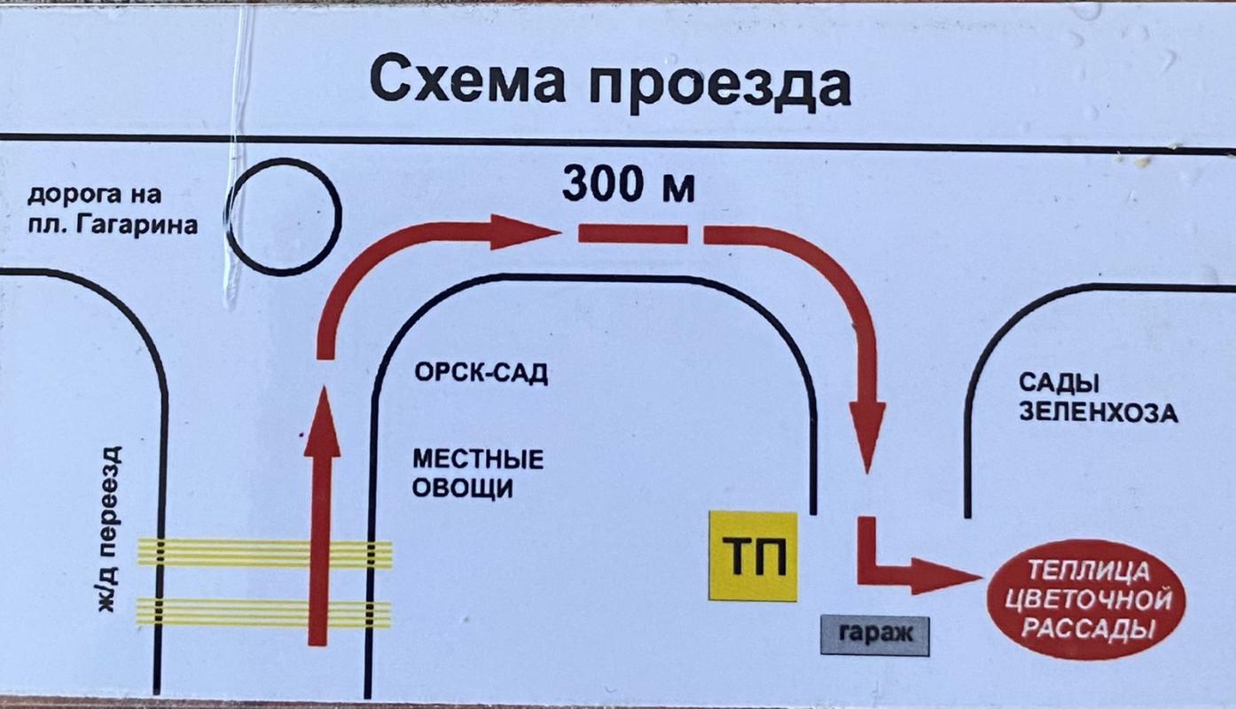 Мир петунии   тел 89878616001  Евгения   продает Петунию  суперкаскадную крупноцветковая   25 рублей - Орск