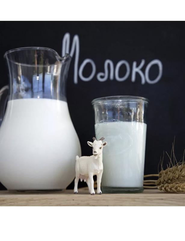 Продается Козье молочко и продукция из козьего молока (сыр, творог). - Новотроицк