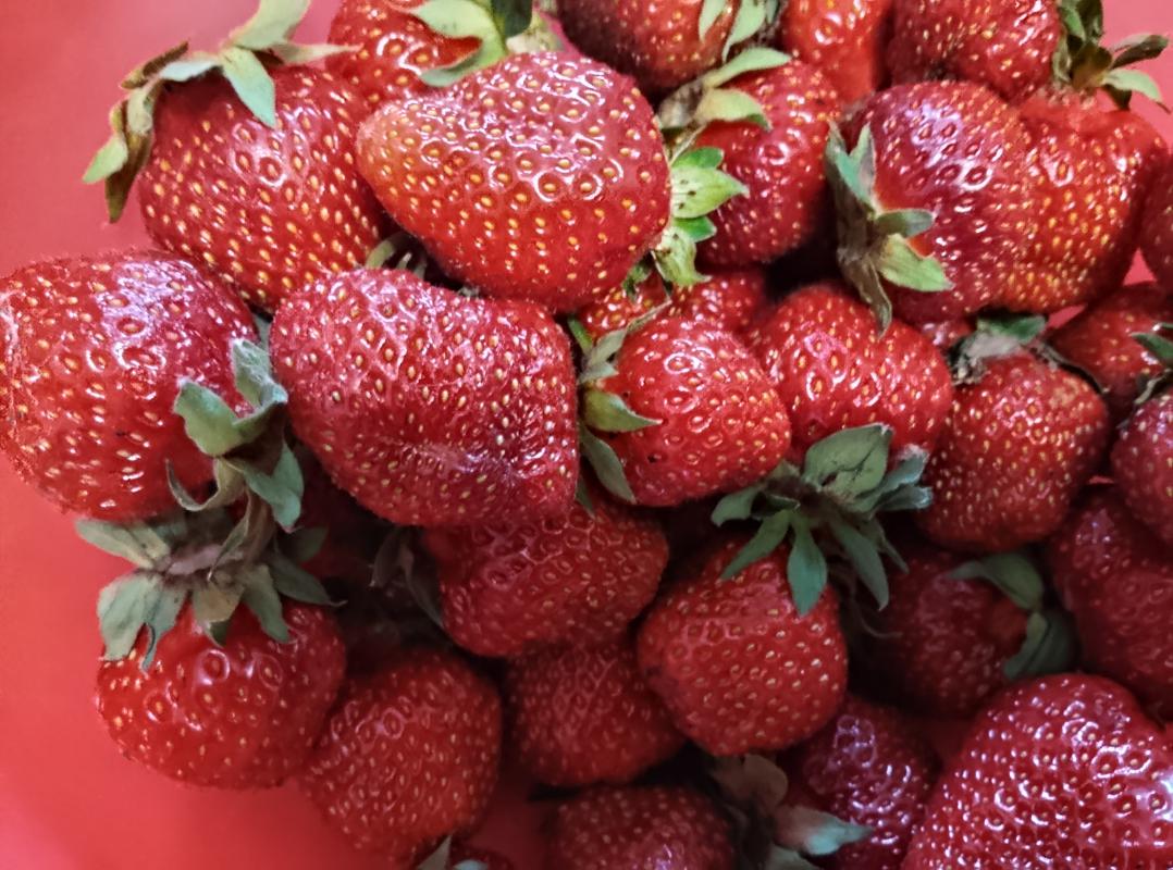 Продам клубнику с сада вкусная Крупная звонить: - Новотроицк