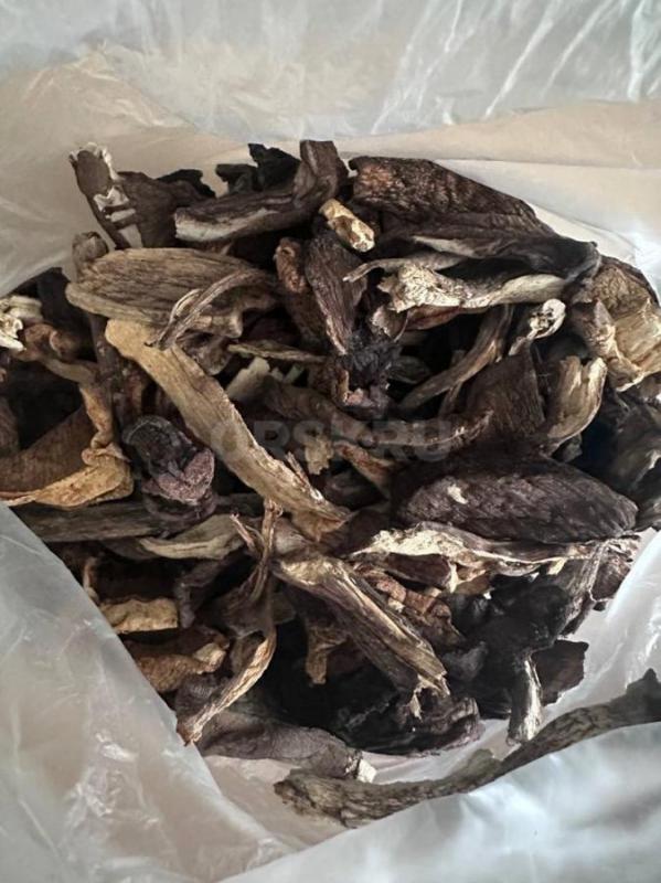 Грибы соленые, маринованные, мороженные, автоклавные (консервированные) и сушеные

Соленые грибы — - Орск