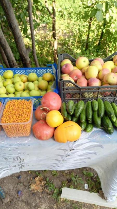 Продам в наличии!! - Орск