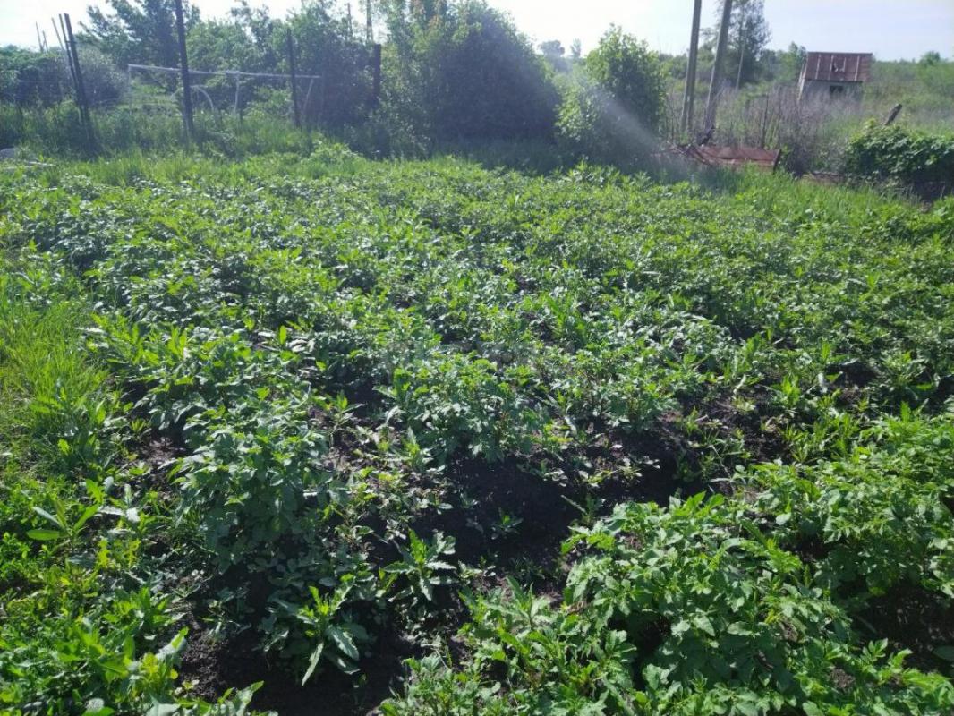 Продам в сентябре сад, после сбора урожая и уборки. - Орск